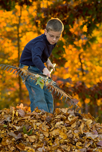 House cleaning checklist will keep track of outdoor chores, too!